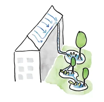 city-rain-gardens