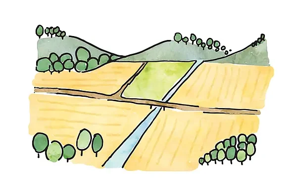 intensive agriculture