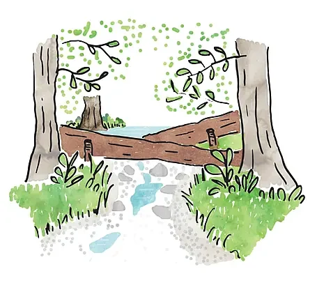 seasonal-stream-barrier