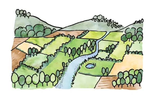 wetlands and natural river