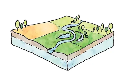 wetlands and natural river