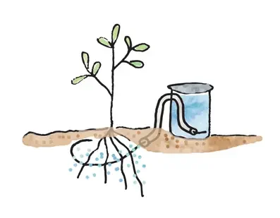 wick-watering